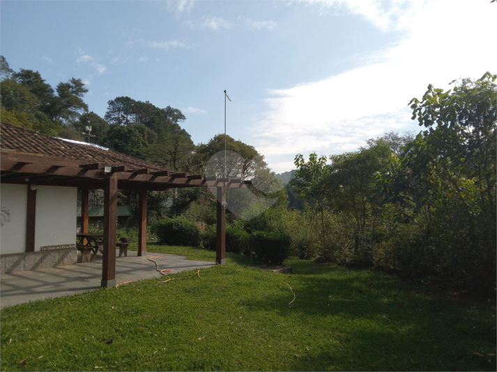 Foto REO1106689