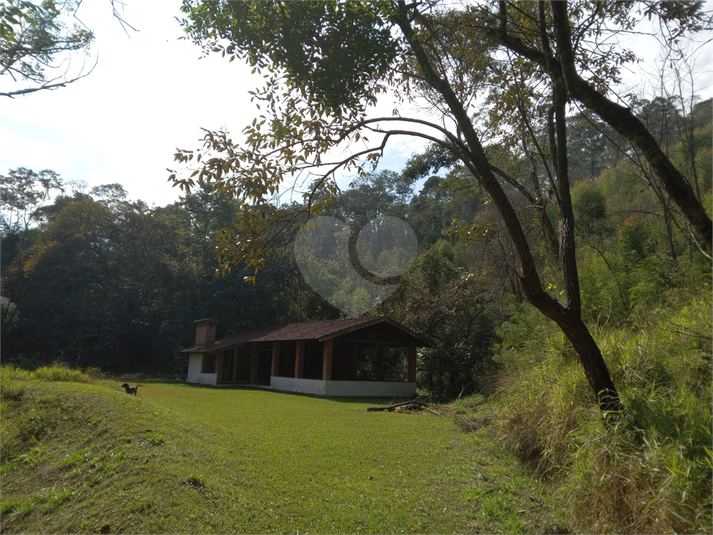 Foto REO1106689