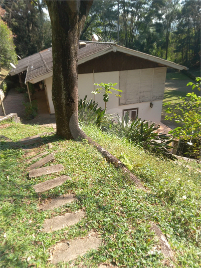 Foto REO1106689