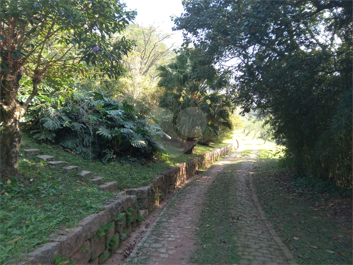 Foto REO1106689