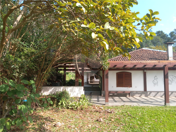 Foto REO1106689