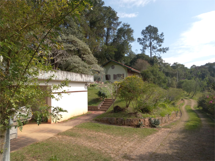 Foto REO1106689