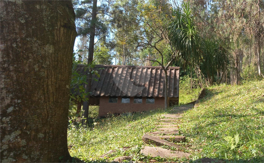Foto REO1106689