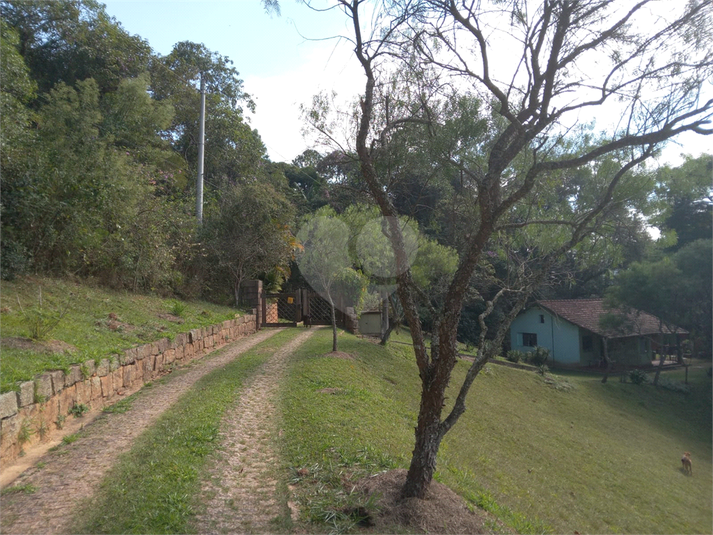 Foto REO1106689