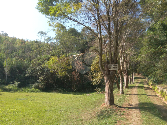 Foto REO1106689