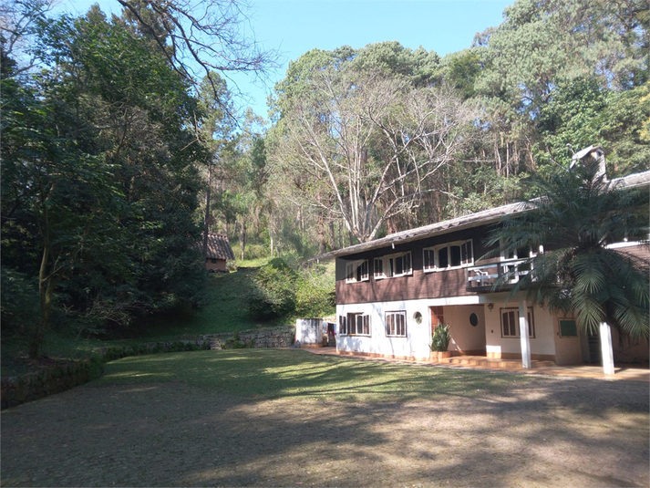 Foto REO1106689