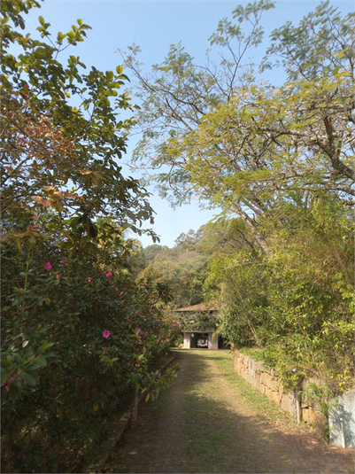 Foto REO1106689