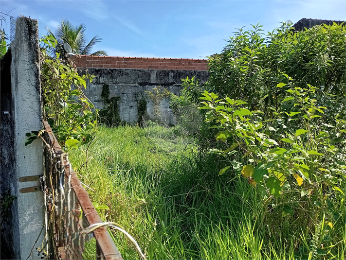 Foto REO1106698