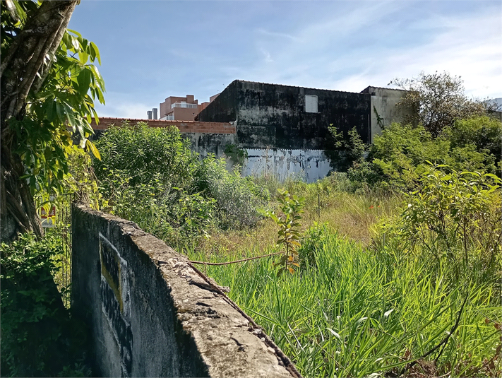Foto REO1106698