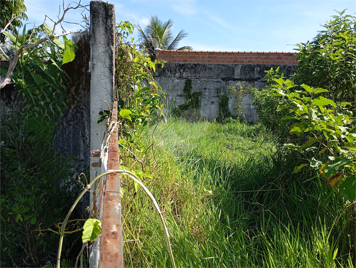 Foto REO1106698