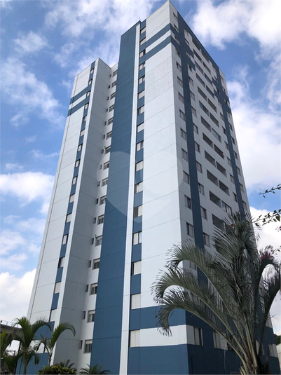 Foto REO1106717