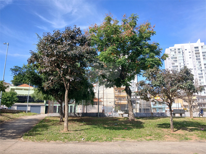 Foto REO1106725