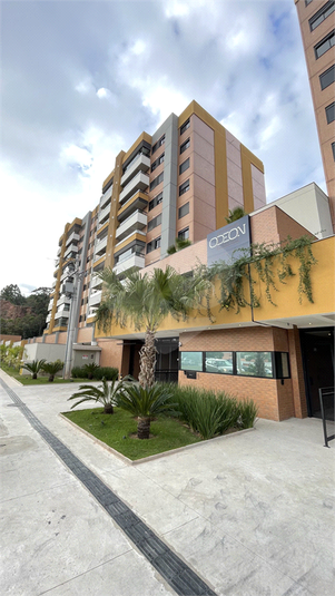 Foto REO1106742