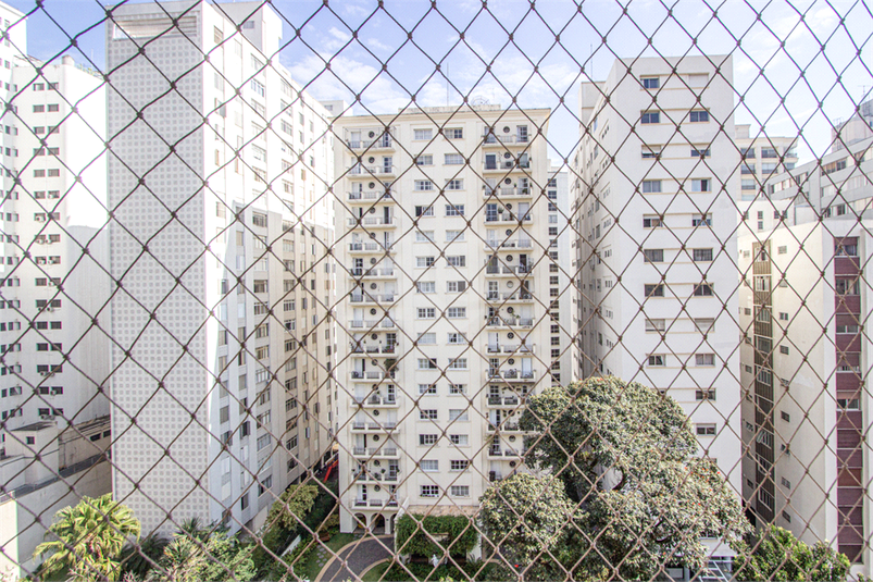 Foto REO1106749