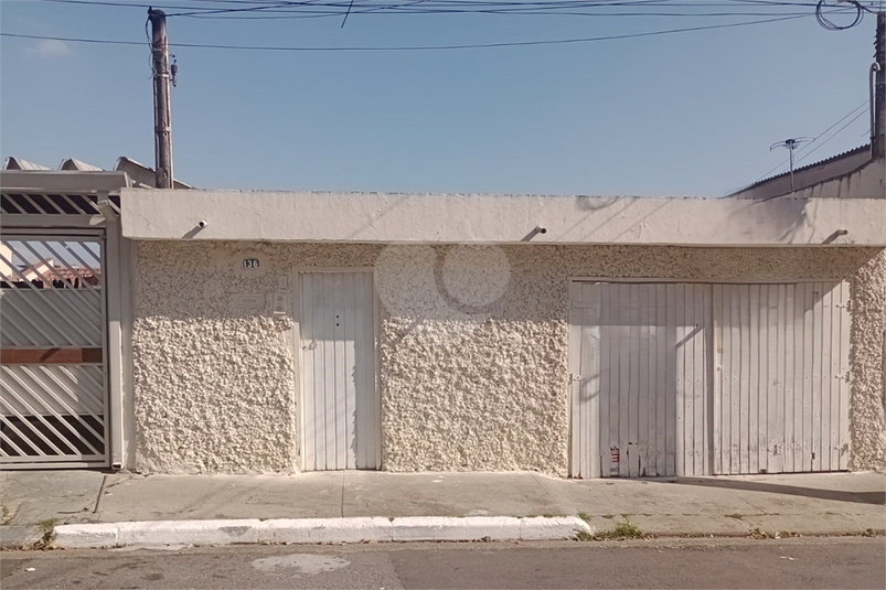 Foto REO1106763