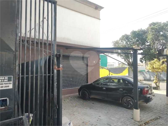 Foto REO1106764