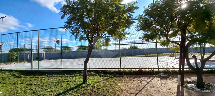 Foto REO1106766