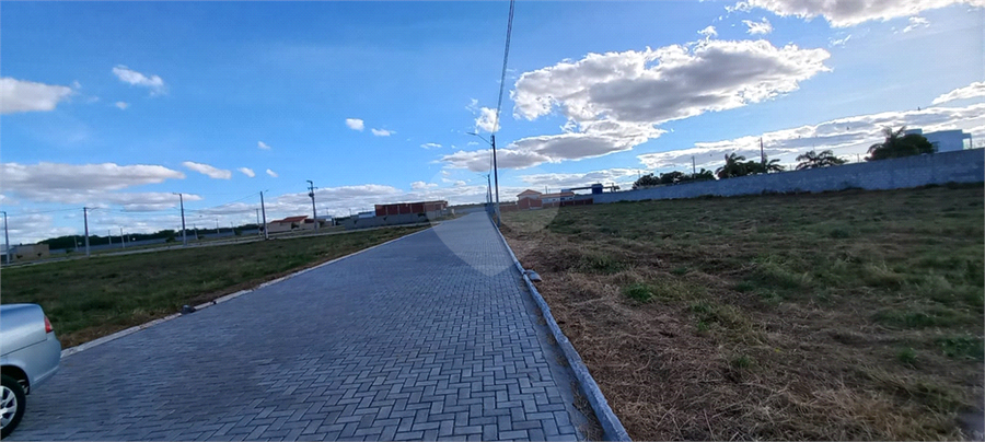 Foto REO1106766