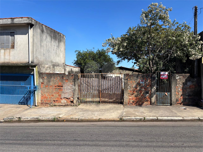 Foto REO1106774