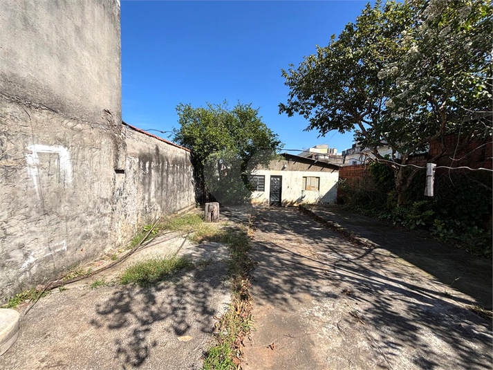 Foto REO1106774