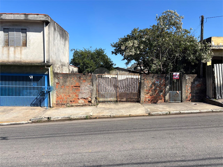 Foto REO1106774