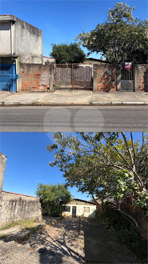 Foto REO1106774