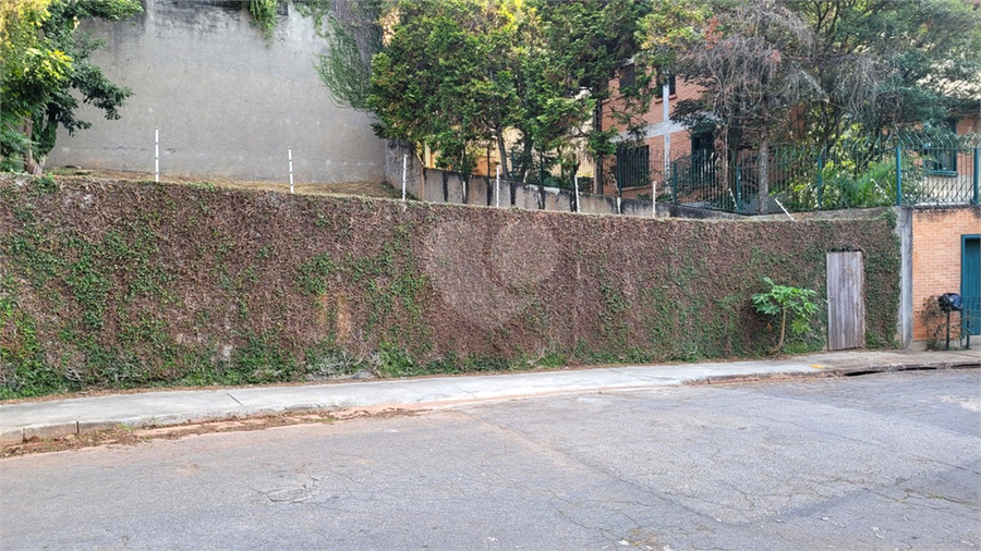 Foto REO1106779