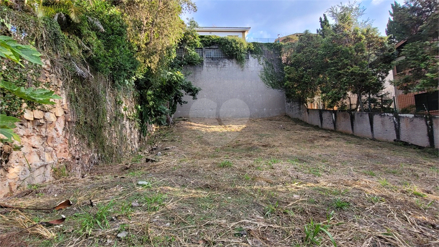 Foto REO1106779