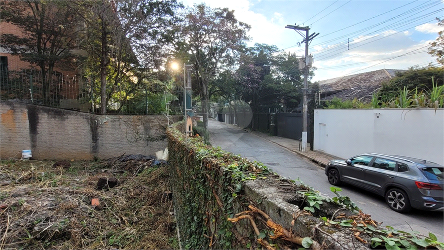 Foto REO1106779