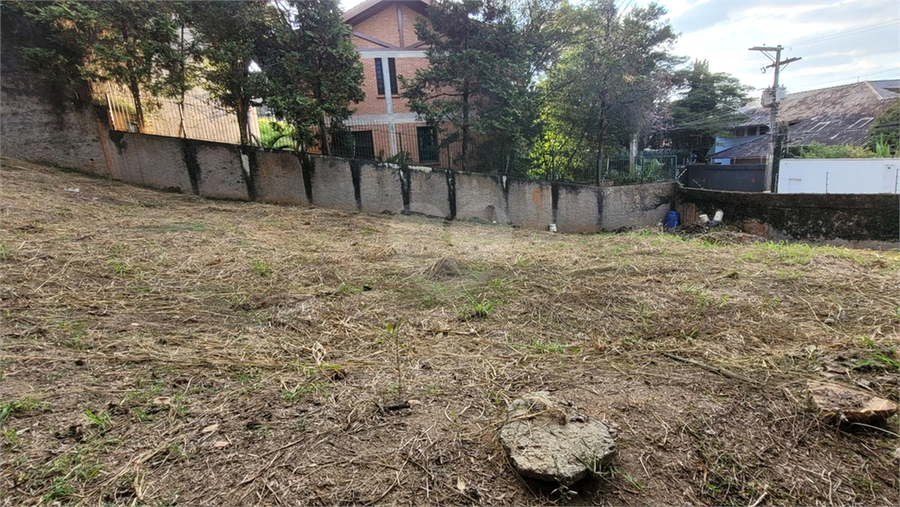 Foto REO1106779