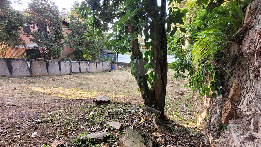 Foto REO1106779