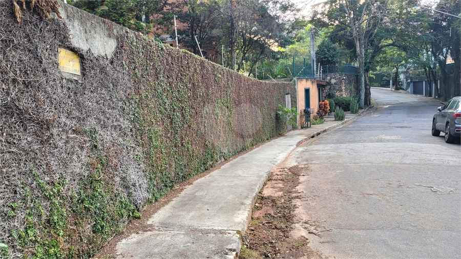Foto REO1106779