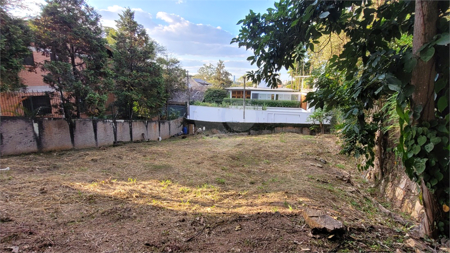 Foto REO1106779