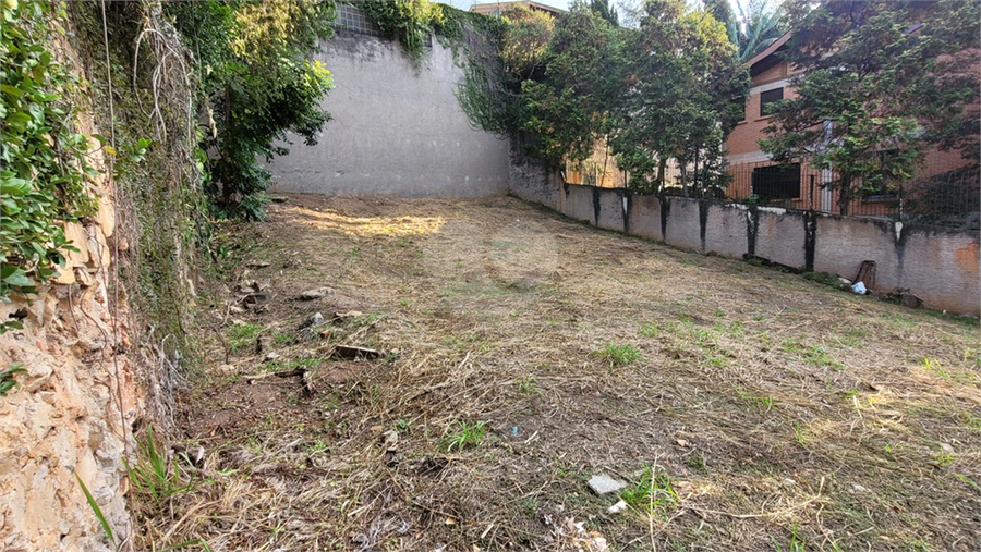 Foto REO1106779
