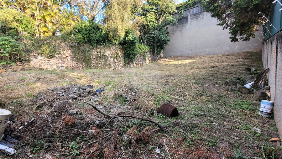 Foto REO1106779