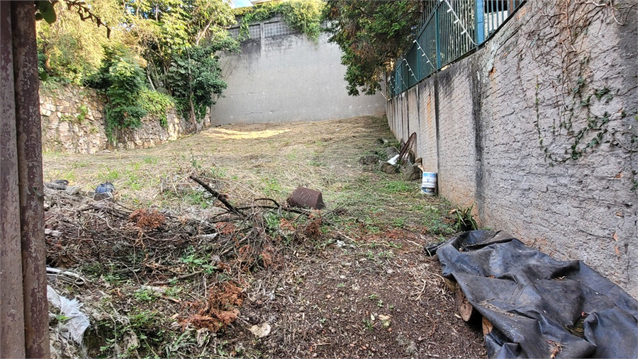 Foto REO1106779