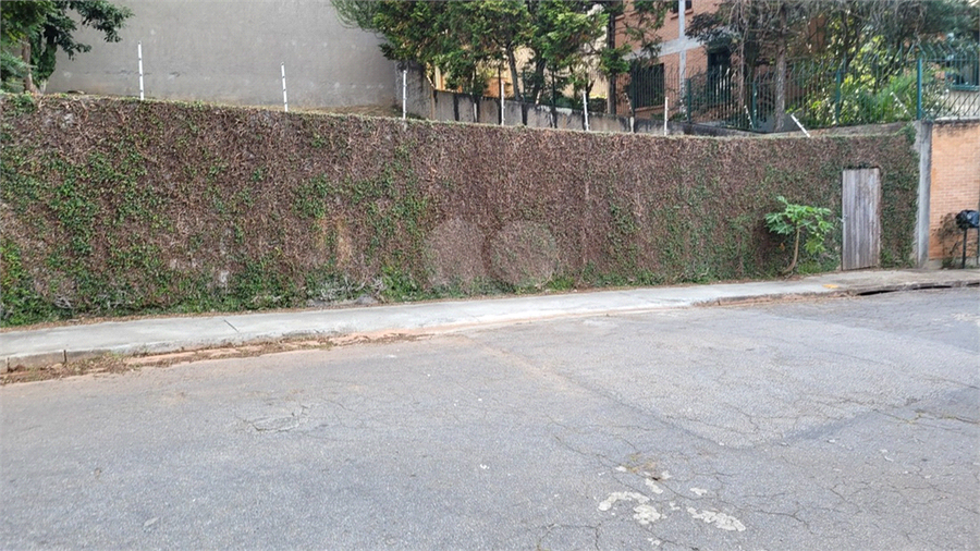 Foto REO1106779
