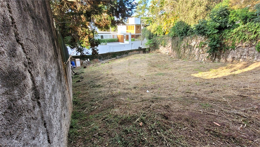 Foto REO1106779