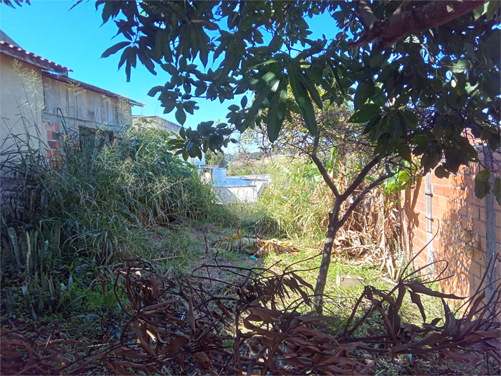 Foto REO1106785