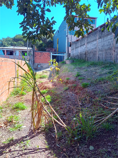 Foto REO1106785