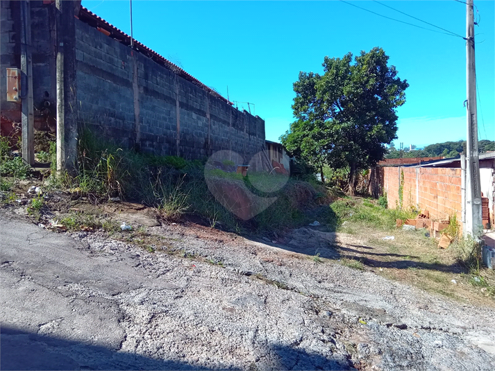 Foto REO1106785