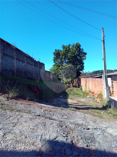 Foto REO1106785
