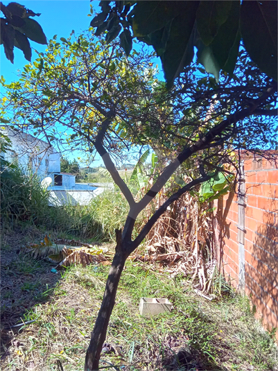 Foto REO1106785