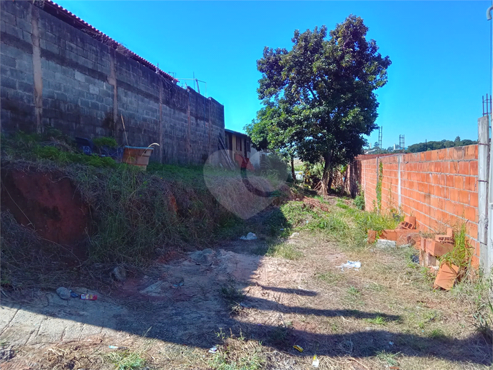 Foto REO1106785