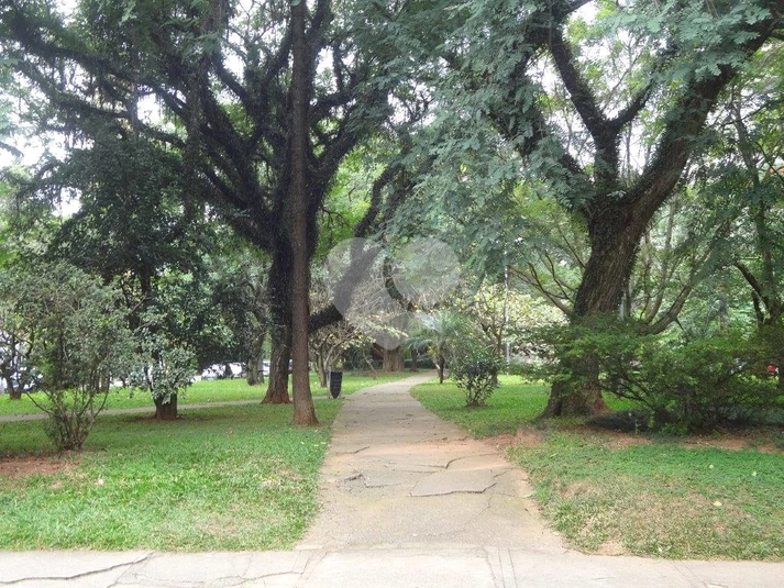 Foto REO1106790