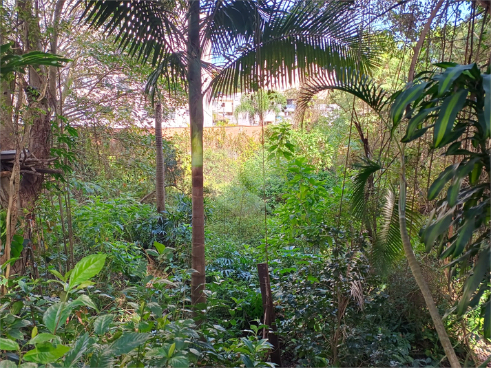 Foto REO1106792