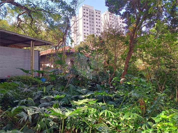 Foto REO1106792