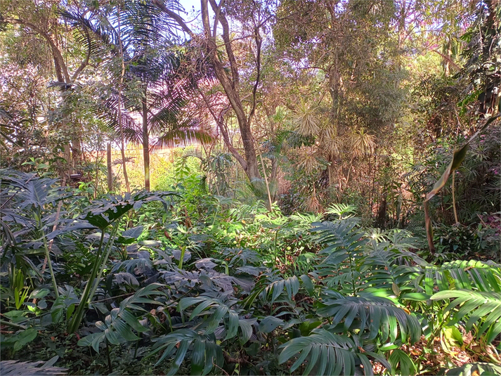 Foto REO1106792