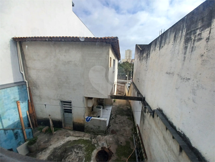 Foto REO1106799