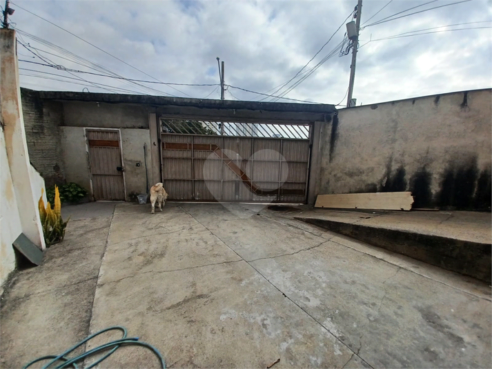 Foto REO1106799